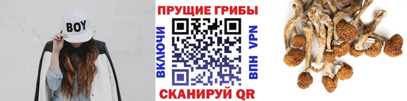 Галлюциногенные грибы Magic Shrooms  Горячеводский 